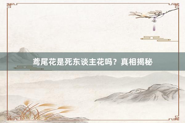 鸢尾花是死东谈主花吗？真相揭秘
