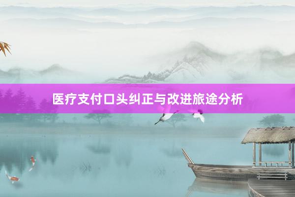 医疗支付口头纠正与改进旅途分析